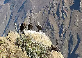 turistipercaso cusco-region-y9yh3
