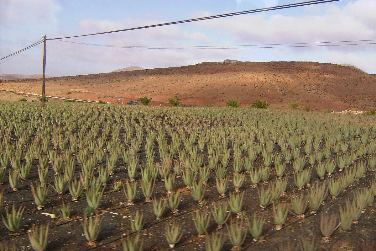 Andalusia, che magia