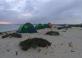 turistipercaso dahlak-6mkxq