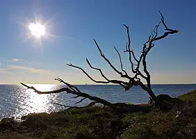 turistipercaso danimarca-vd51u
