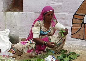 turistipercaso delhi-1anss
