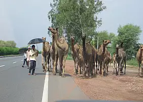turistipercaso delhi-2958u