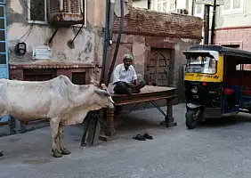 turistipercaso delhi-nmpad
