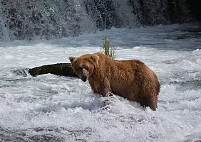turistipercaso denali-anrdh
