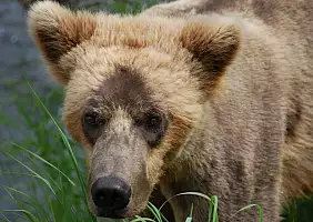 turistipercaso denali-w7tff