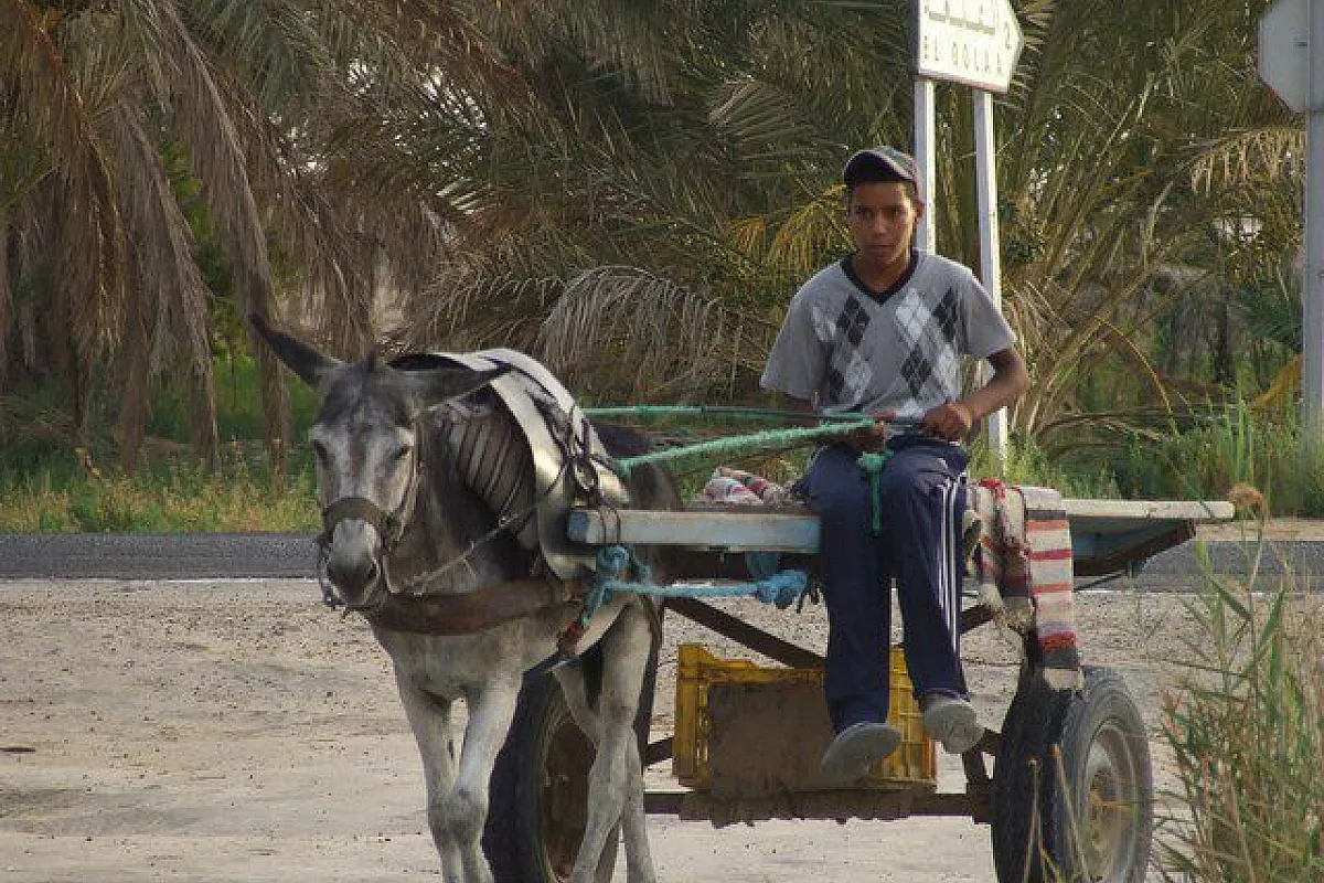 Prima e ultima vacanza in Tunisia