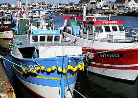 turistipercaso dinan-v7gkf