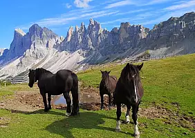 turistipercaso dolomiti-alpi-8baxq