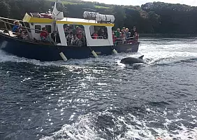 turistipercaso donegal-5w3s9