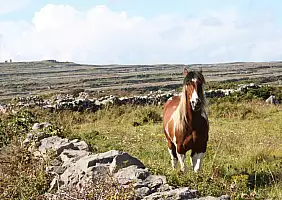 turistipercaso donegal-nsnfz