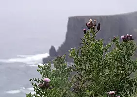 turistipercaso donegal-rkjsa