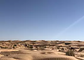 turistipercaso douz-sg73k