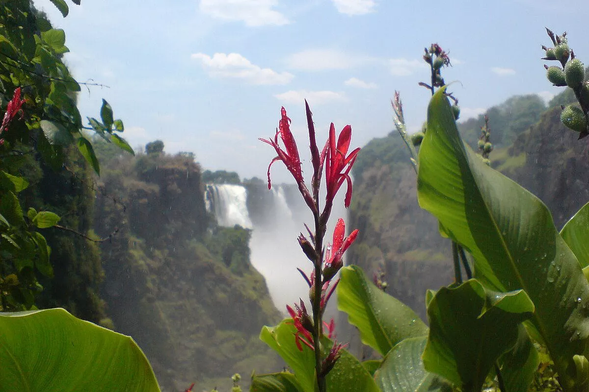 Dallo Zimbabwe al Kenya con furore