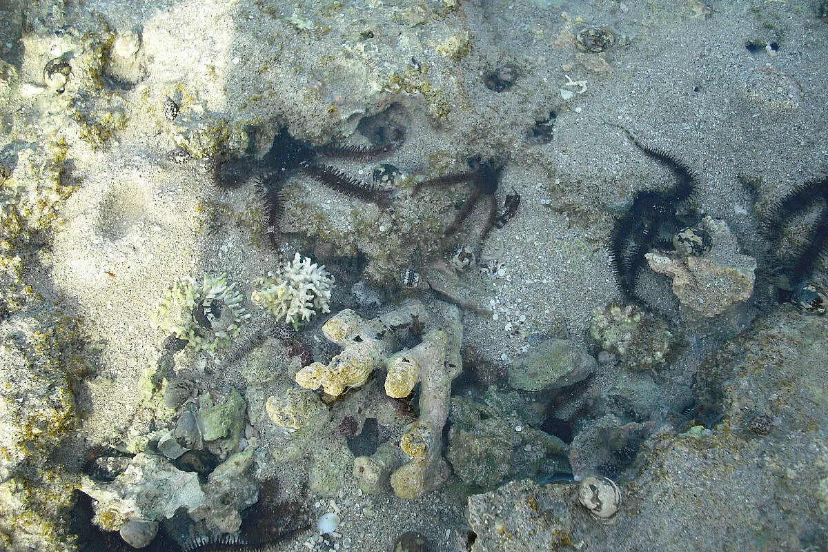 Marsa alam – sol y mar abu dabbab