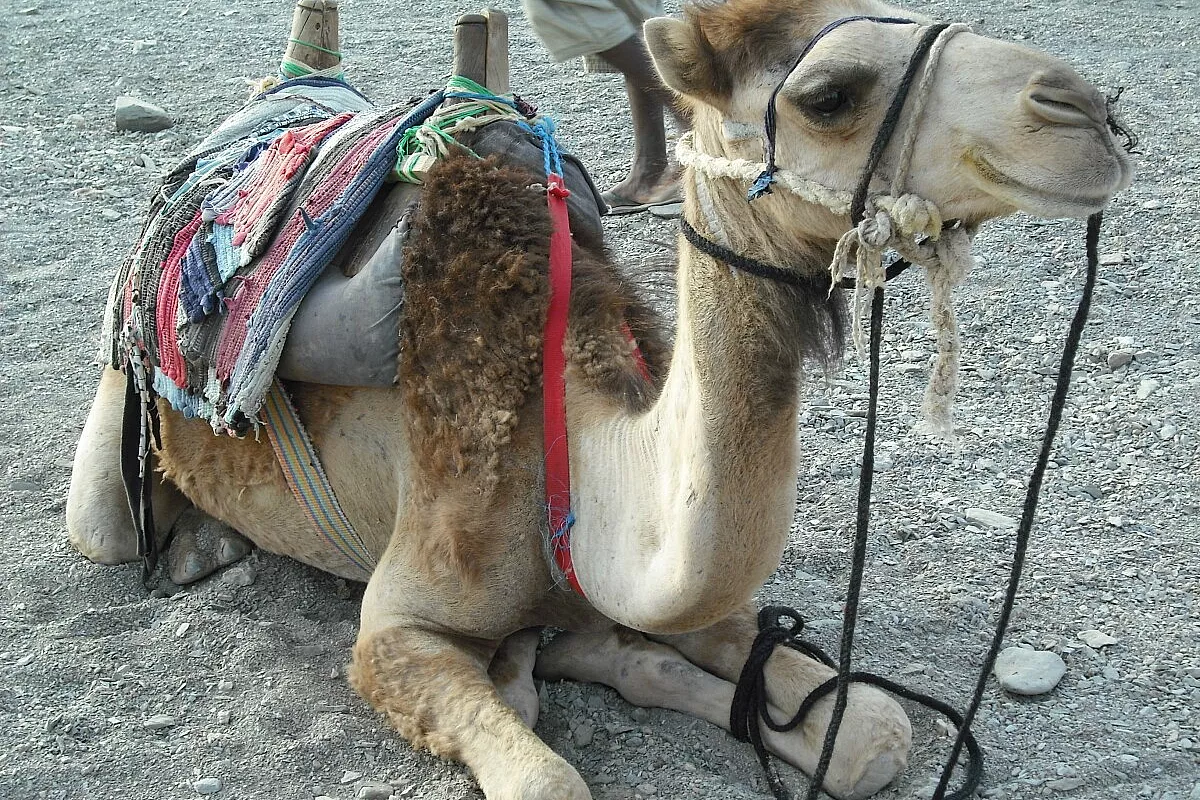 Hurghada last minute