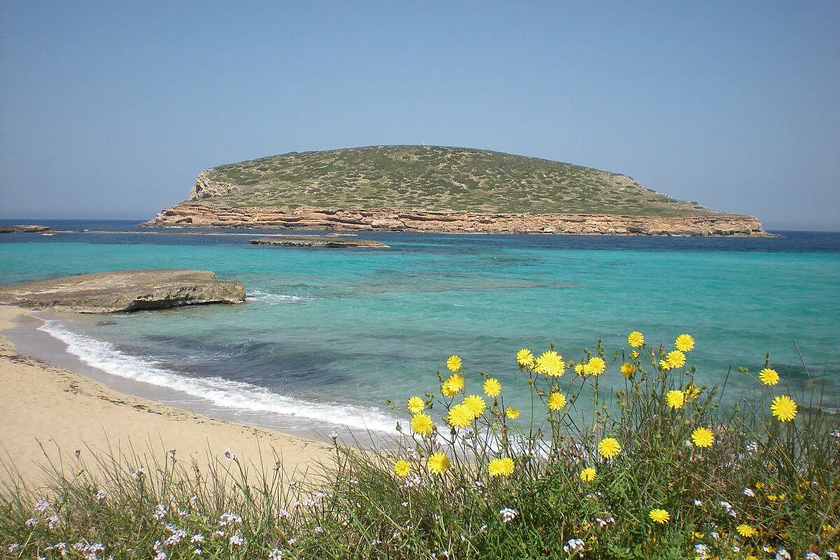 scappoa..ad ibiza!