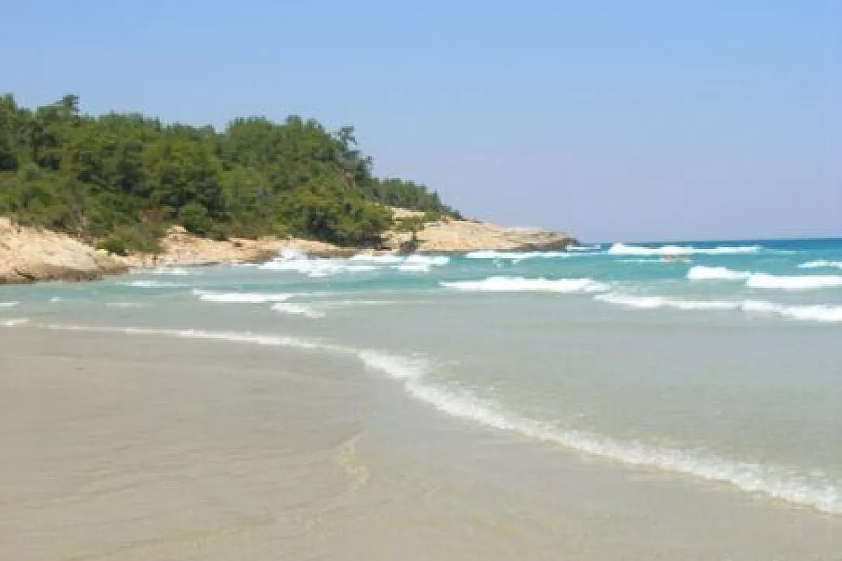 Creta fantastica