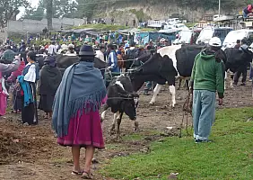 turistipercaso ecuador-cuenca-quito-panorama-1yh9y