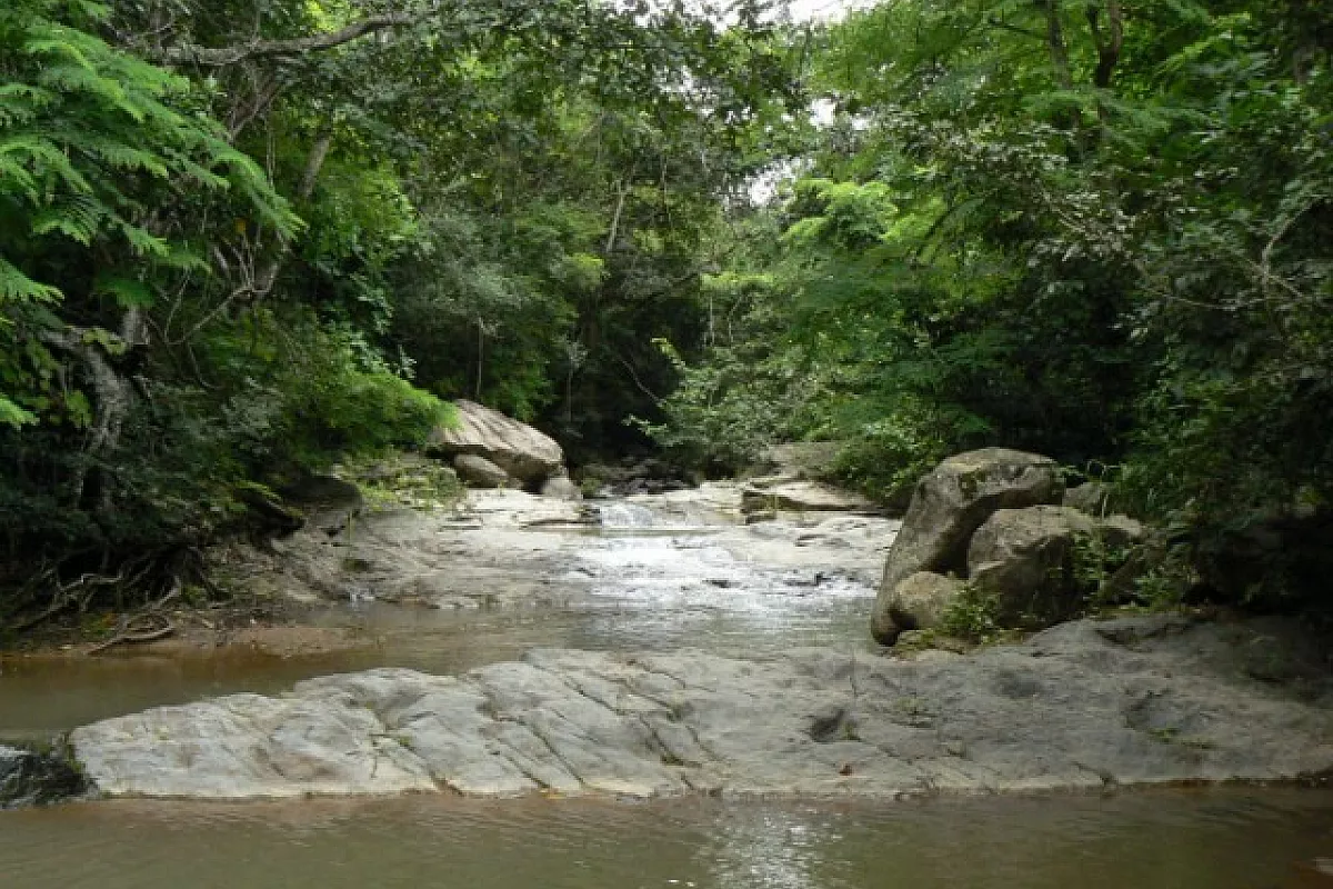 Pierre Molinari e la riserva ecologica Pachijal in Ecuador
