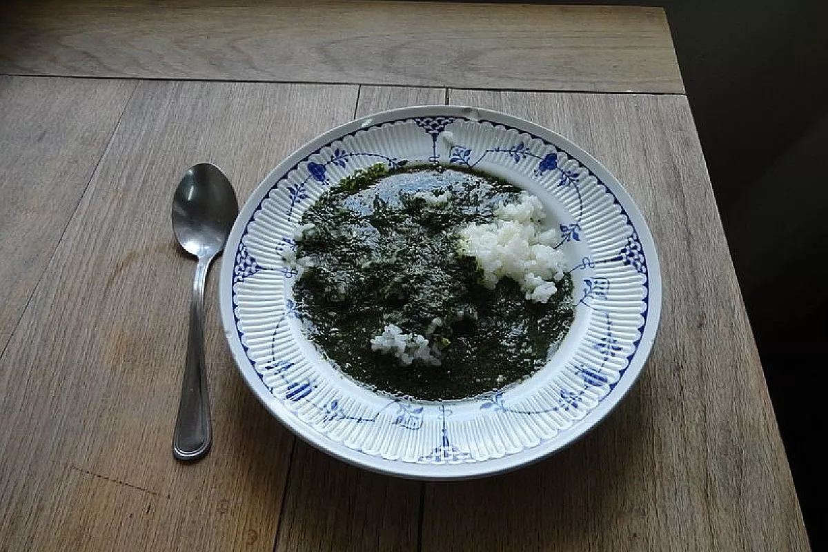 Molokheya