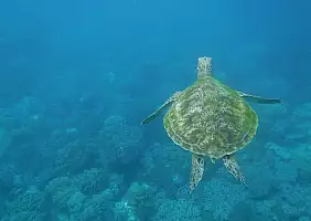 turistipercaso el-nido-8u6pd
