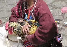 turistipercaso el-salvador-nqhew