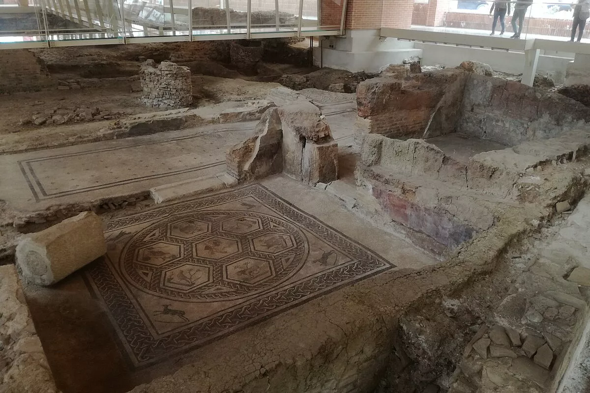 casa chirurgo rimini