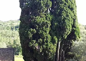 turistipercaso emilia-romagna-87t6h