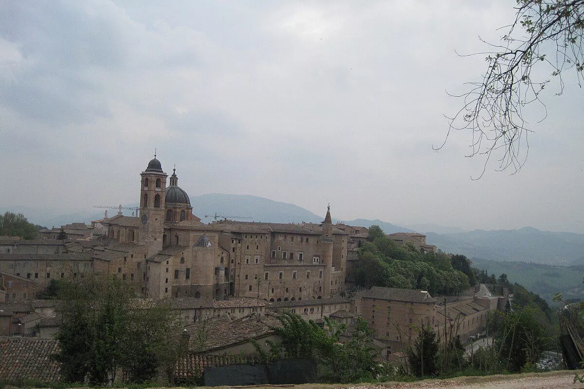 Urbino