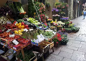 turistipercaso emilia-romagna-mu8v7