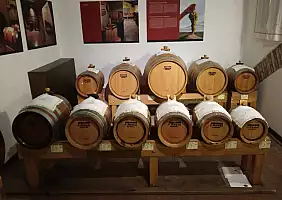 turistipercaso emilia-romagna-nzkva