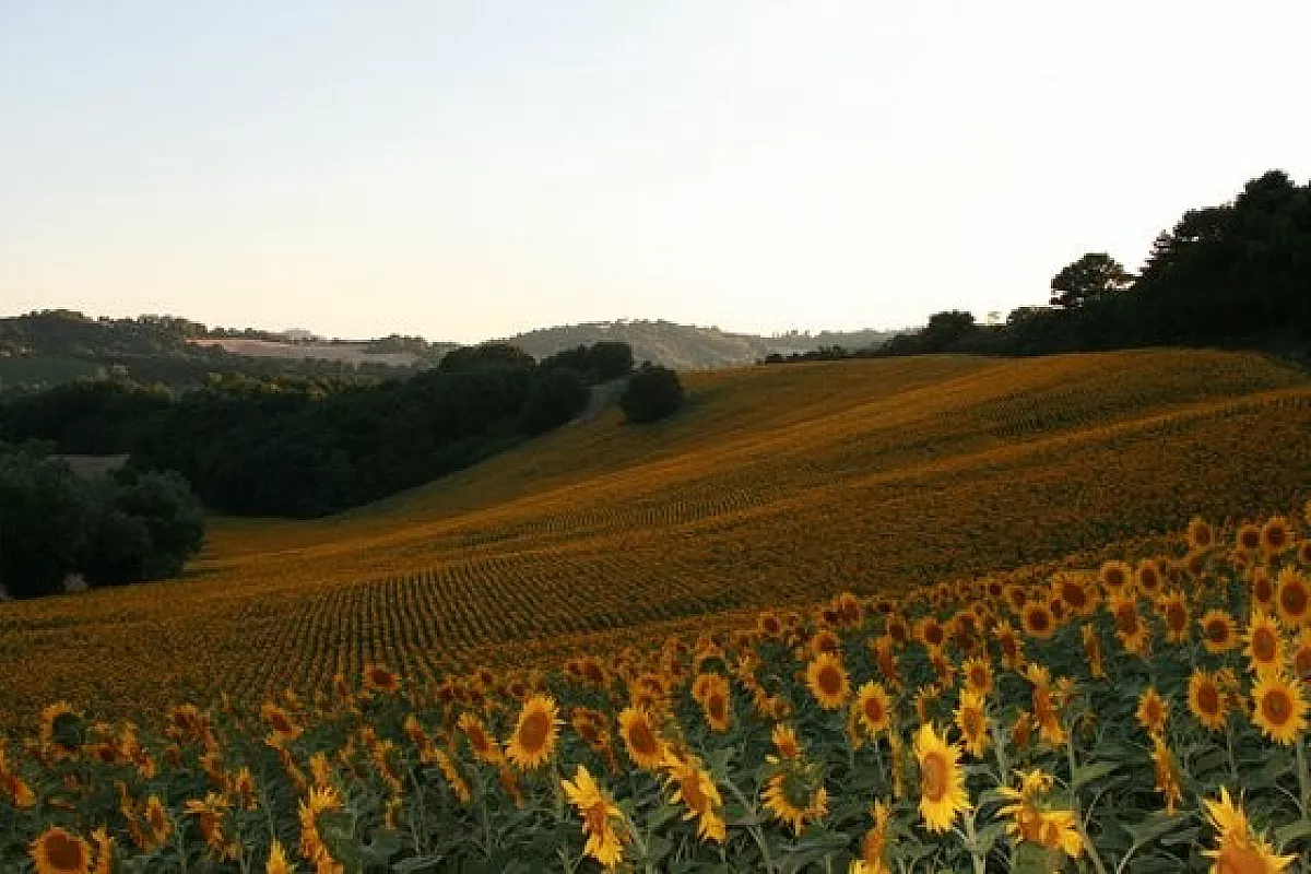 Grotte, castelli e squali… una favola?
