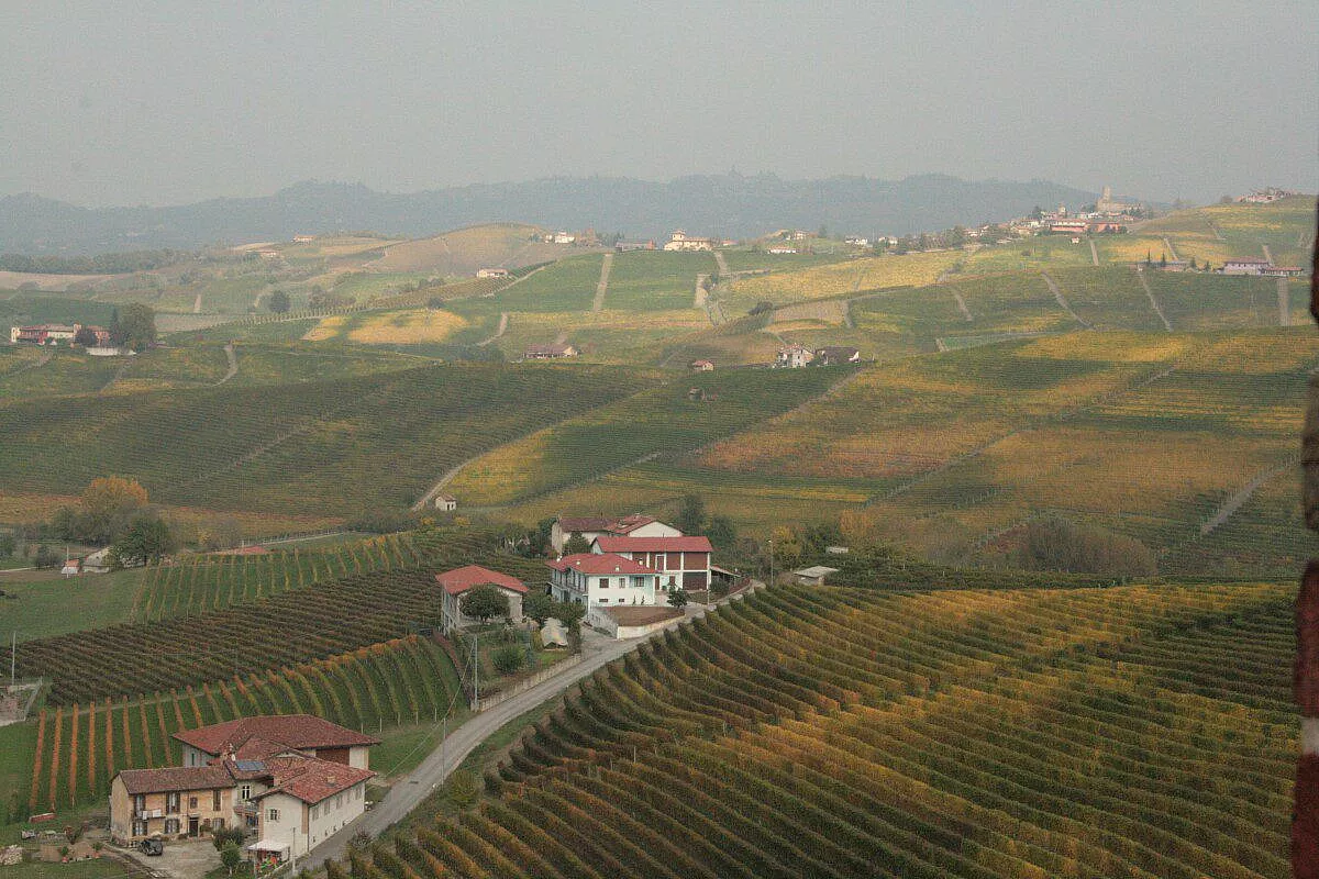 Valle di Barolo