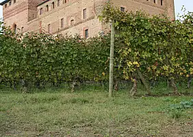 turistipercaso enogastronomico-c1hrn