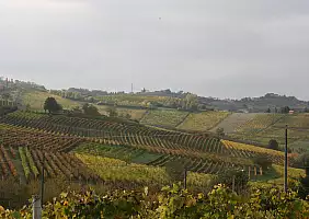 turistipercaso enogastronomico-d14zm