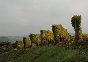 turistipercaso enogastronomico-ev57v