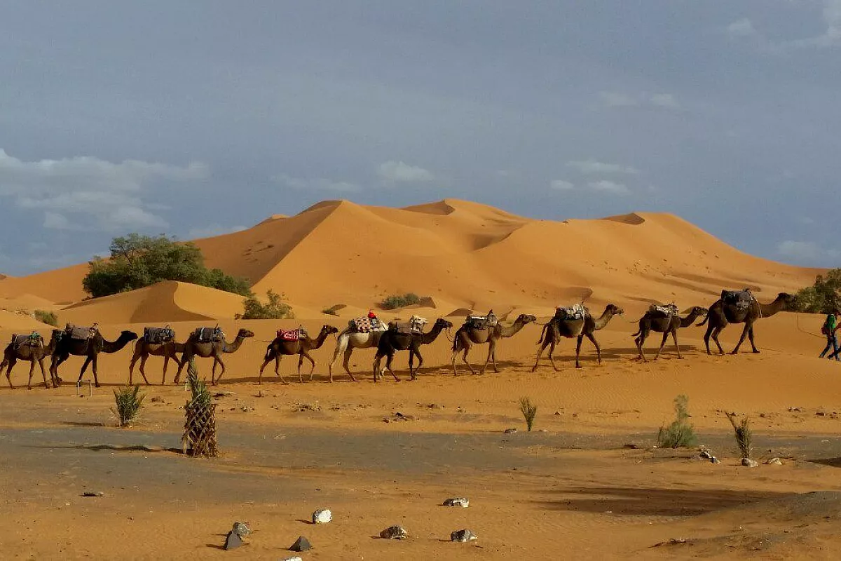 carovana nel deserto