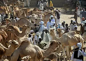 turistipercaso eritrea-1h6wy