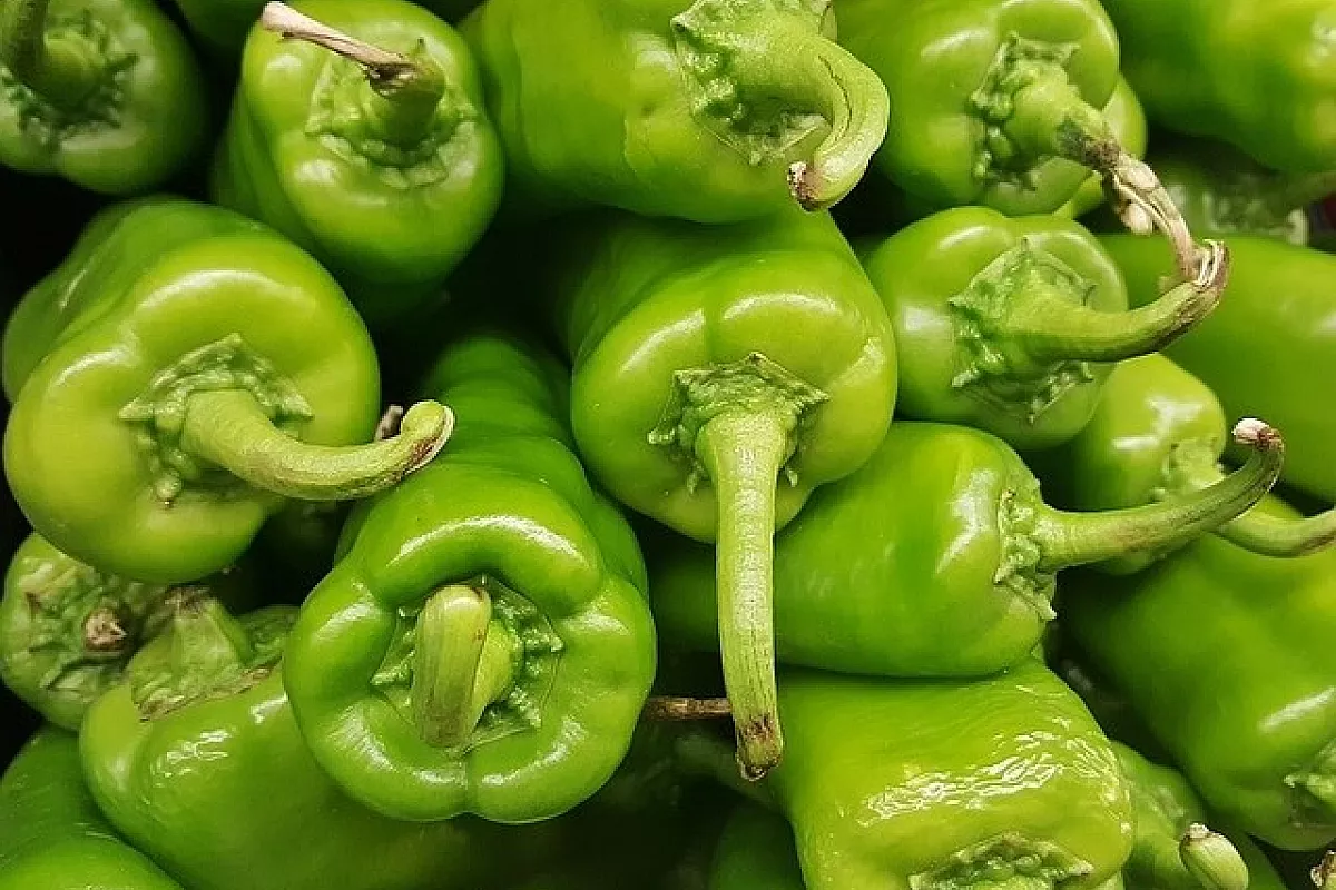 Spriss Rosso
