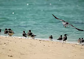 turistipercaso eritrea-kt2tf