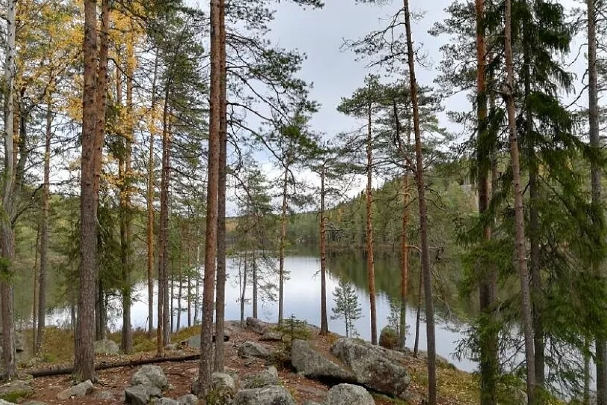 Tallin, Helsinki e la regione dei laghi