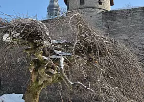 turistipercaso estonia-rygwb