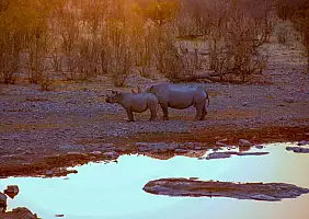 turistipercaso etosha-914r5