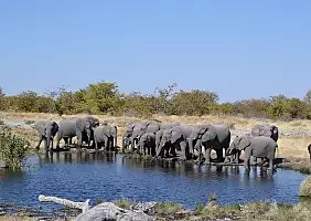 turistipercaso etosha-f2sfj