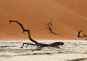 turistipercaso etosha-gwrsk