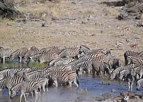 turistipercaso etosha-pch56