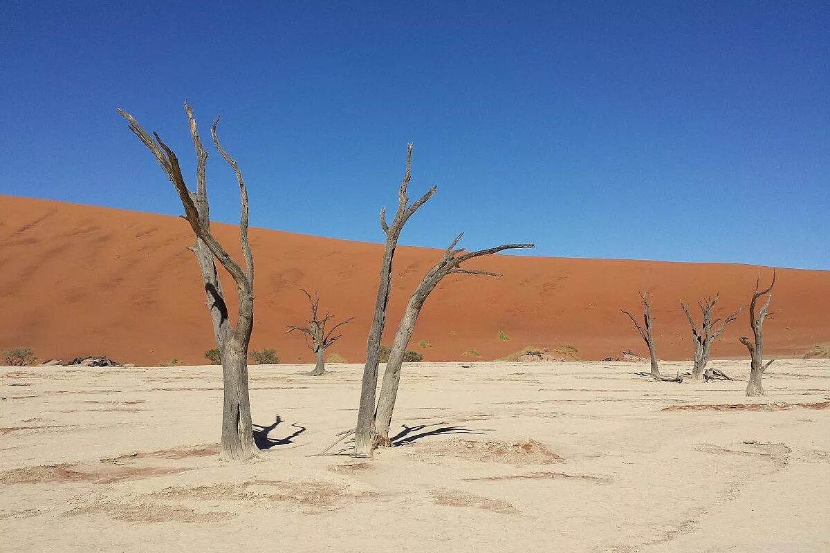 a cavallo di un duna, deserto namib