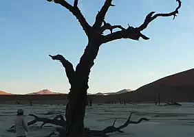 turistipercaso etosha-xz9gg