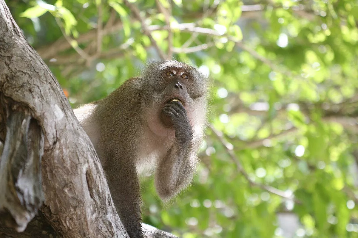 Thailandia da nord a sud 2
