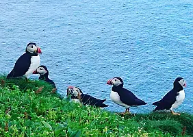 turistipercaso faroe-2z3su